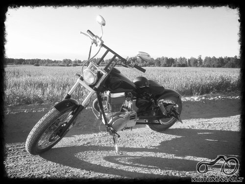 SUZUKI'94 Savage Bobber