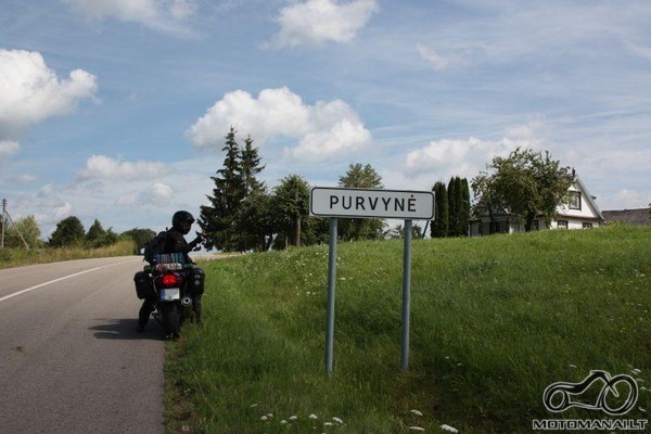 Purvynė