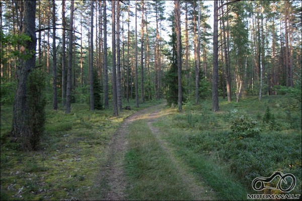 Vakaras Aukštaitijos nacionaliniame parke