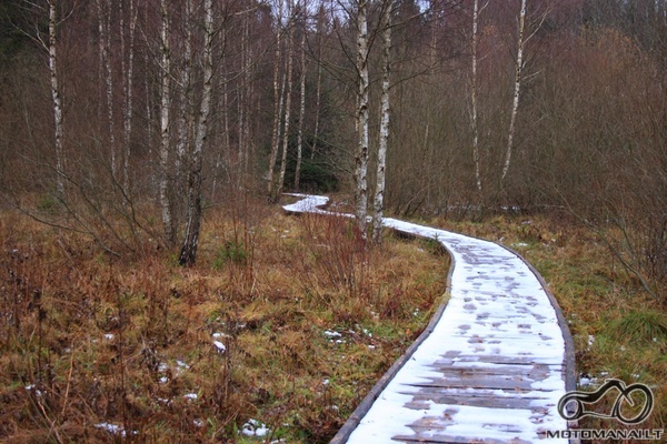 Šiaulių enduro