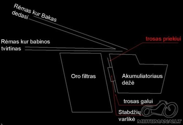 Jawa is born