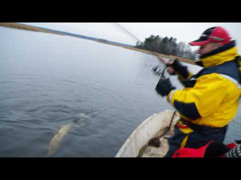 Ловим щуку на фотоаппарат RUSSIAN HI-TECH FISHING