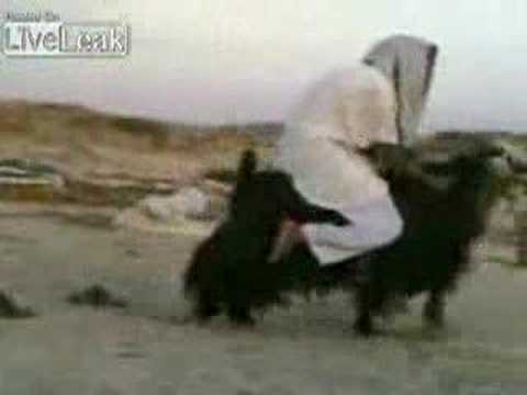 funny iraqi motorcyle